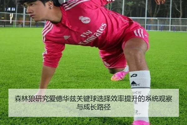 森林狼研究爱德华兹关键球选择效率提升的系统观察与成长路径 | kaiyun