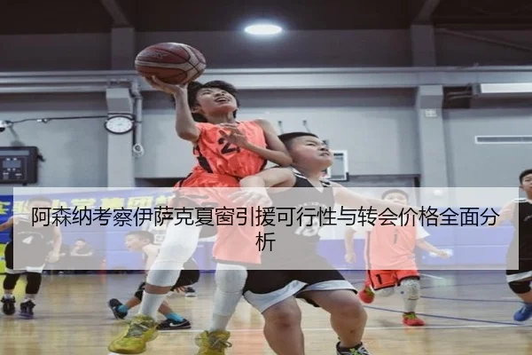 阿森纳考察伊萨克夏窗引援可行性与转会价格全面分析（kaiyun）